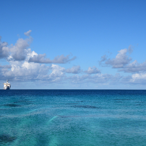 а_天堂中文自拍图片
